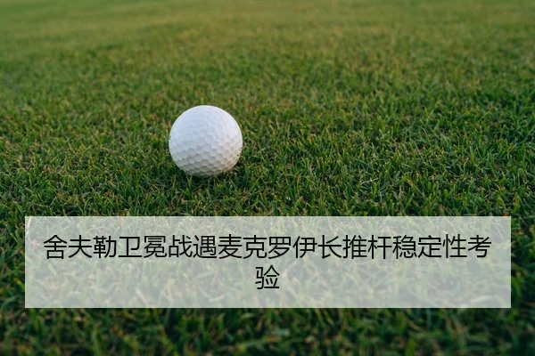 she-fu-lei-wei-mian-zhan-yu-mai-ke-luo-yi-zhang-tui-gan-wen-ding-xing-kao-yan-2-776.jpg