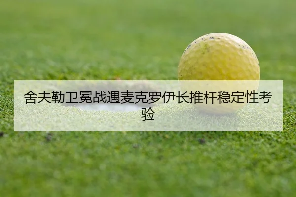 she-fu-lei-wei-mian-zhan-yu-mai-ke-luo-yi-zhang-tui-gan-wen-ding-xing-kao-yan-3-259.jpg